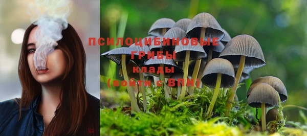 мдма Белокуриха