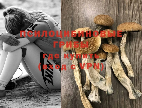 ешки Белоозёрский