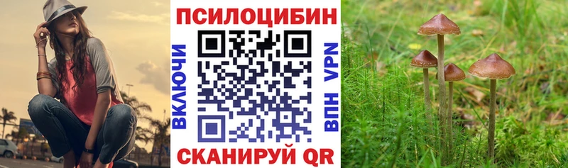 Псилоцибиновые грибы ЛСД  Богородск 