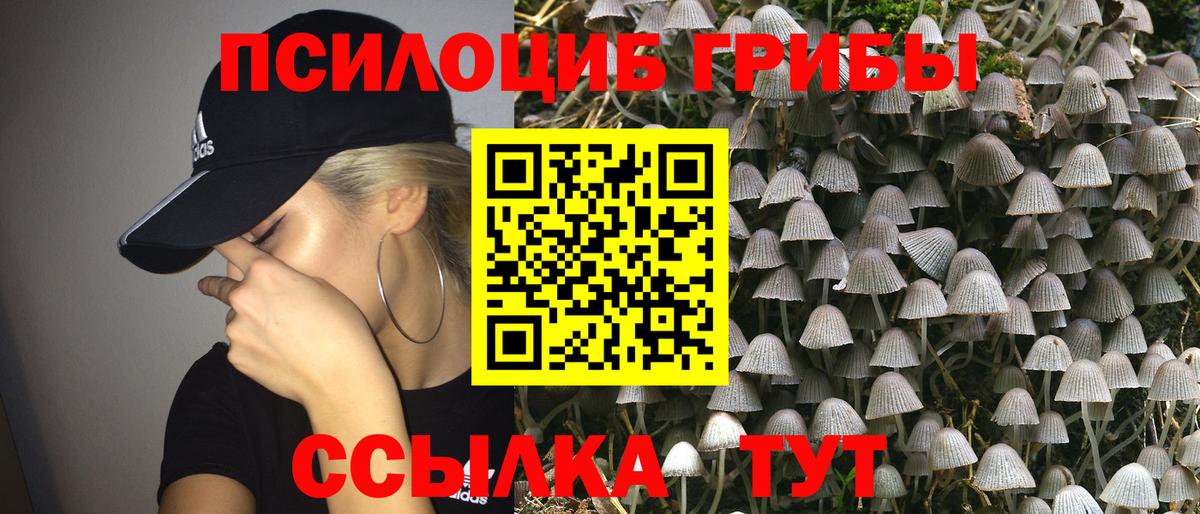 Псилоцибиновые грибы мицелий  Вход с VPN  Псилоцибиновые грибы Cubensis  Богородск 